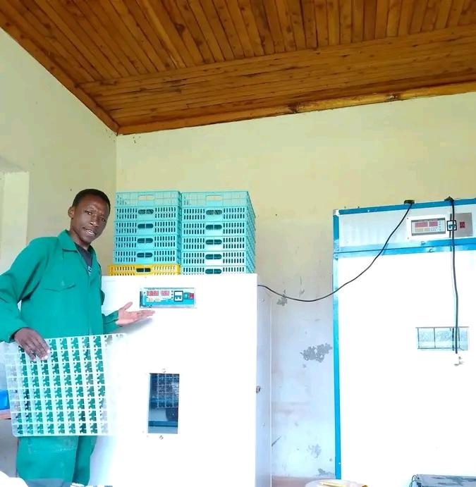 On-farm hatchery facility with commercial incubators and hatching trays