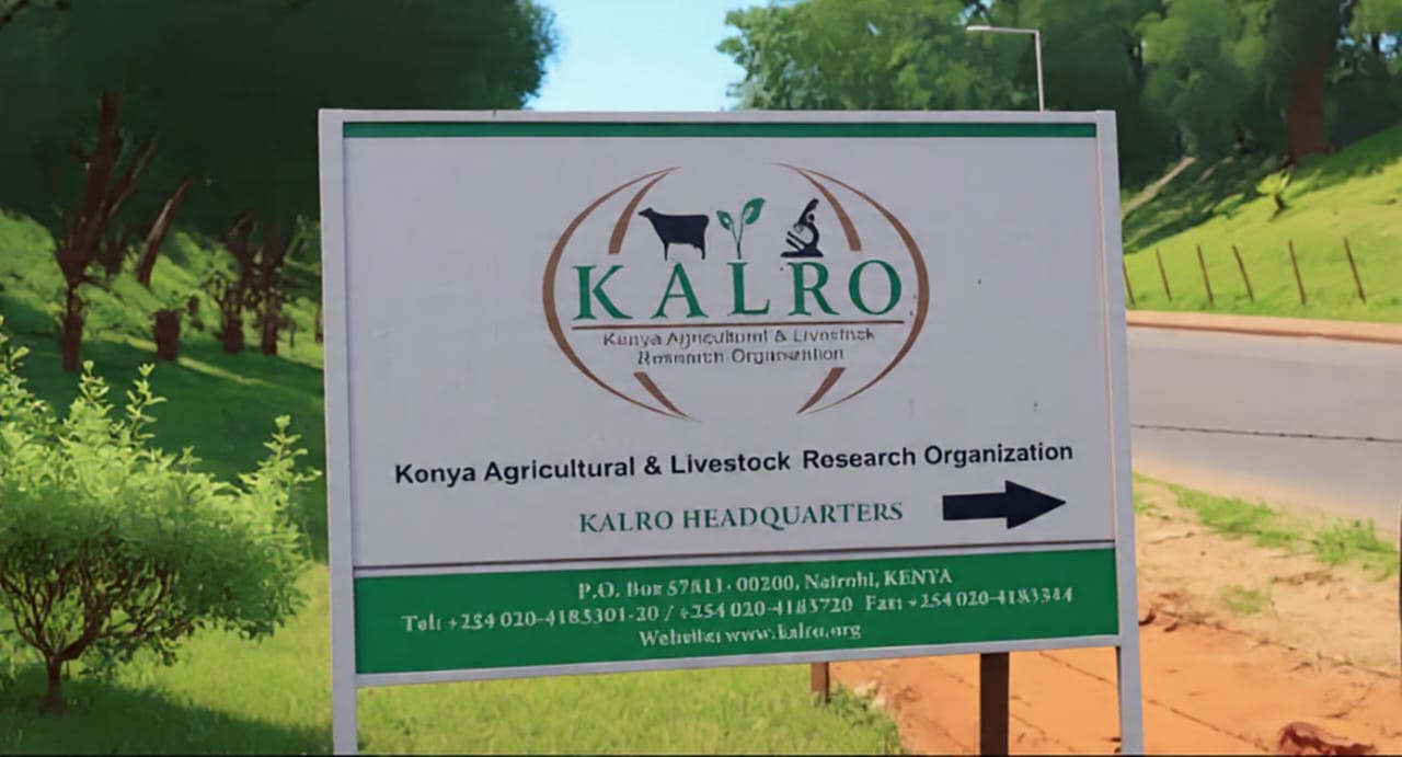KALRO Headquarters signboard